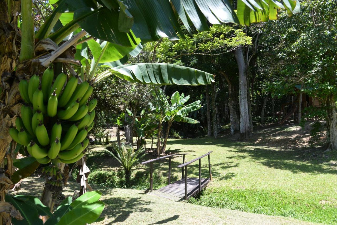 Hotel Pousada Sitio Olho D'Agua Bombinhas Exteriér fotografie